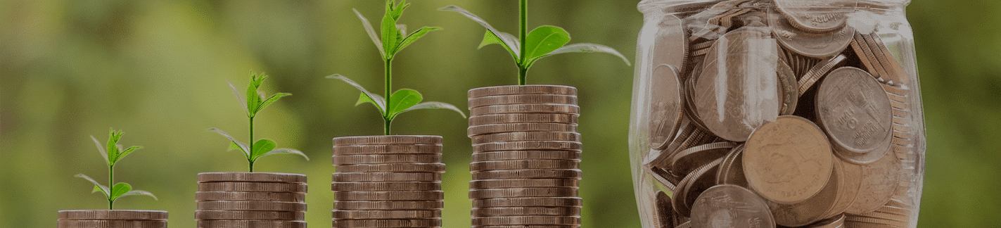 Wellness Program prevent the most expensive illnesses